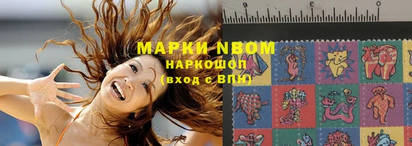 молекула духа Ельня