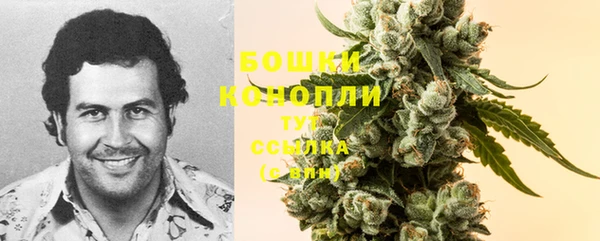 мескалин Заводоуковск