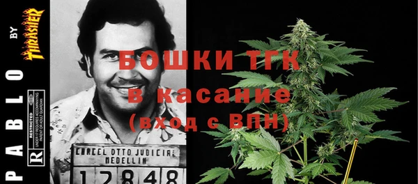 мескалин Заводоуковск