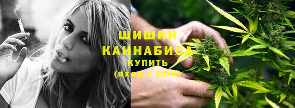 мескалин Заводоуковск